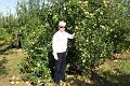 Apple_Garden